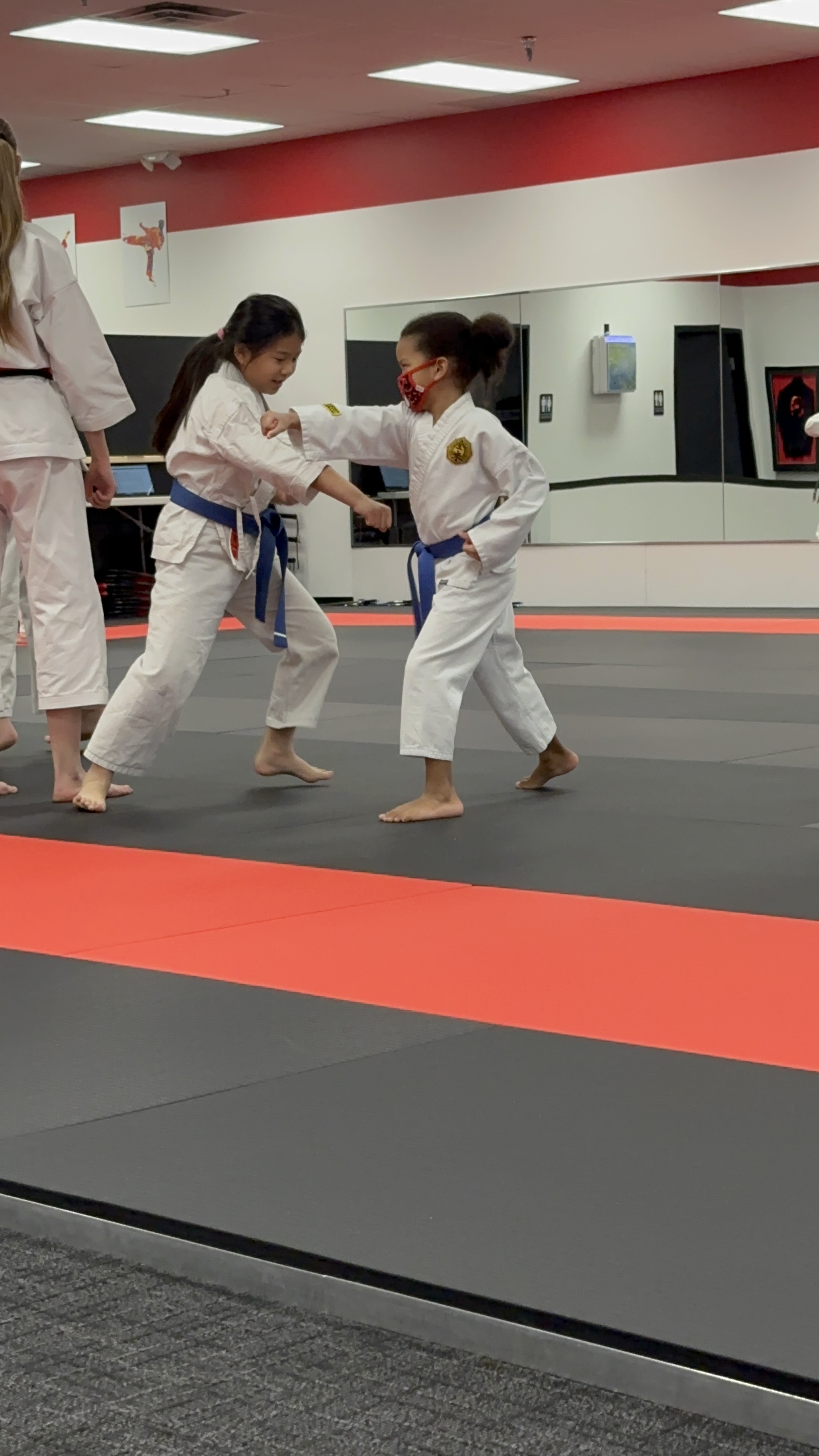 Controlled Sparring Practice